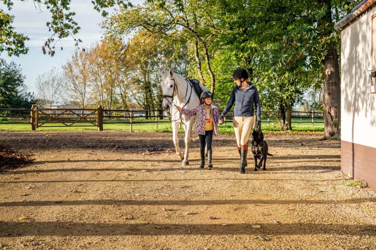 Equilodge 'T Blommeke - Reconnect With Nature 布鲁日 外观 照片